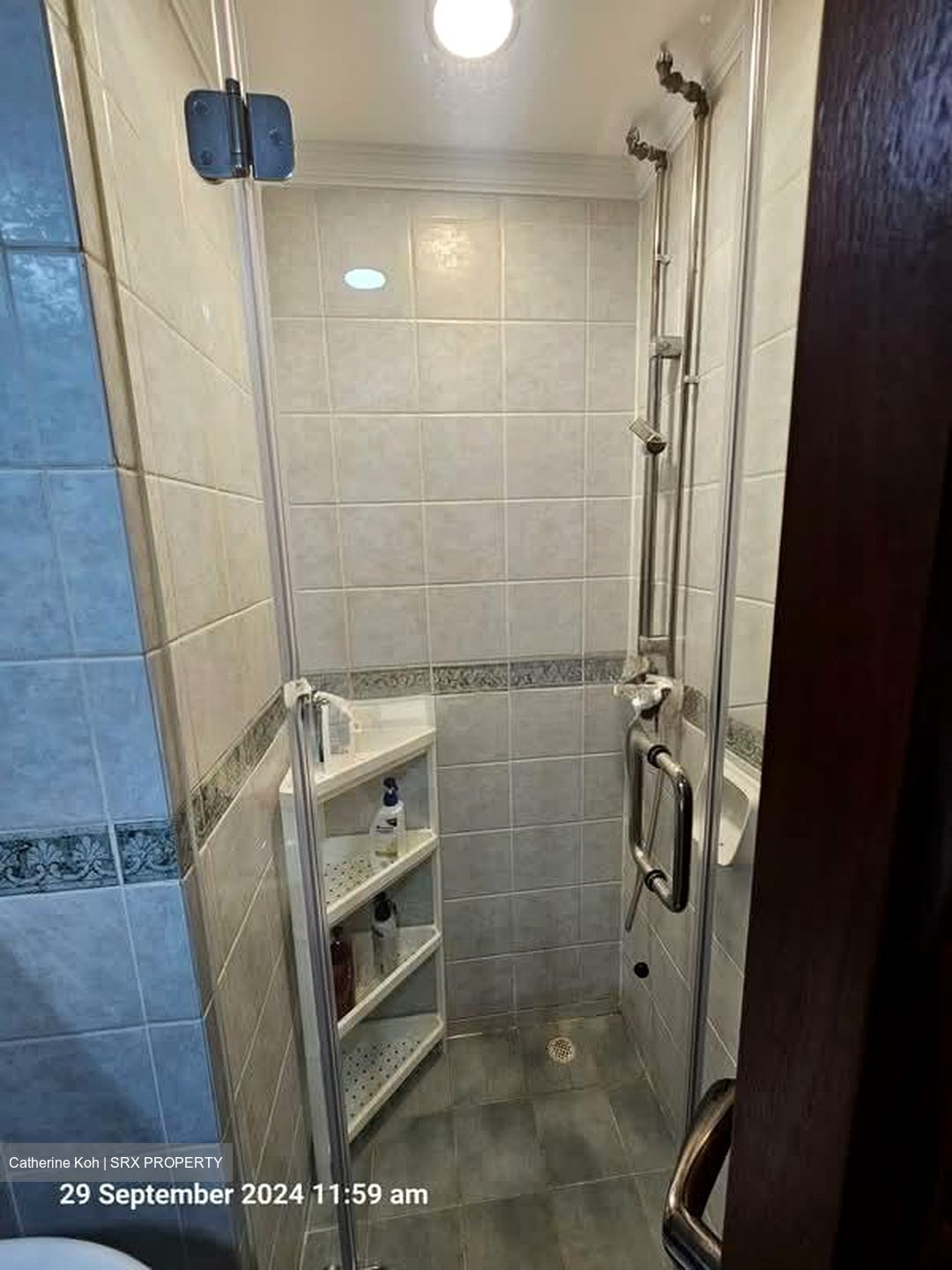 Emerald Garden (D1), Condominium #574013221